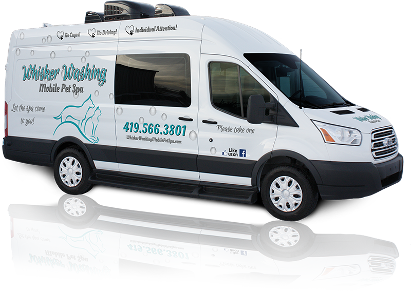 Mobile pet washing store service